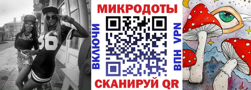 Галлюциногенные грибы Psilocybe Великие Луки
