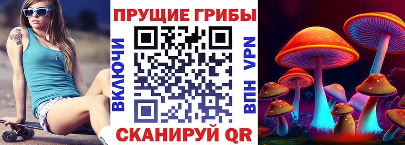 Псилоцибиновые грибы Magic Shrooms  Великие Луки 