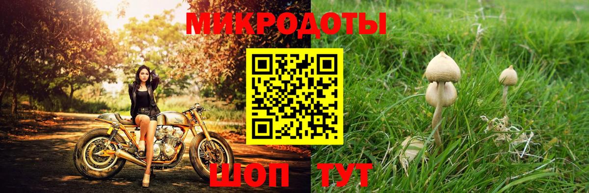 Великие Луки  Псилоцибиновые грибы Magic Shrooms  Вход с VPN 